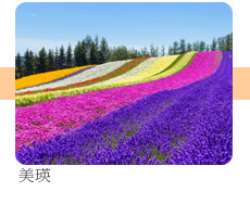 美瑛(花)